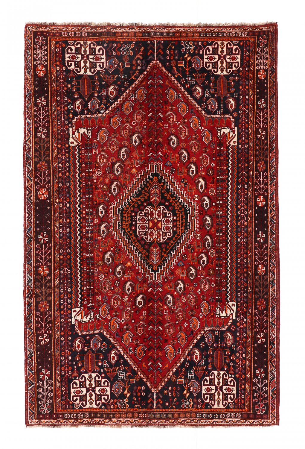Persian rug Hamedan 264 x 168 cm