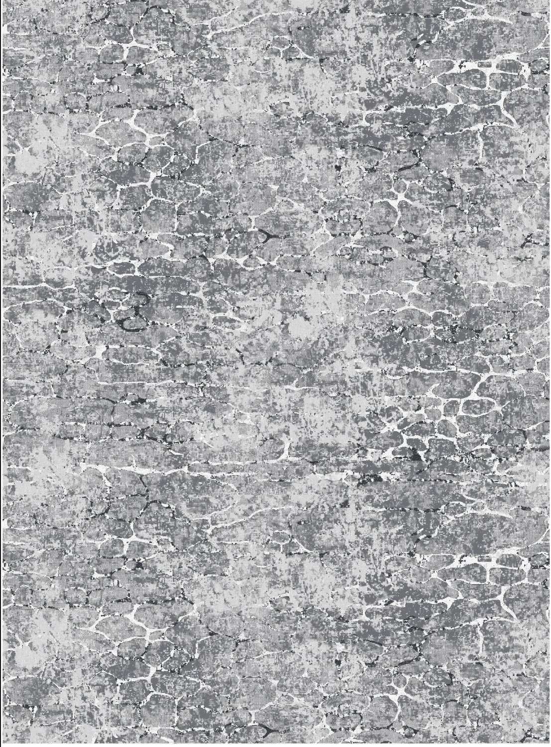 Wilton rug - Zinta (grey)