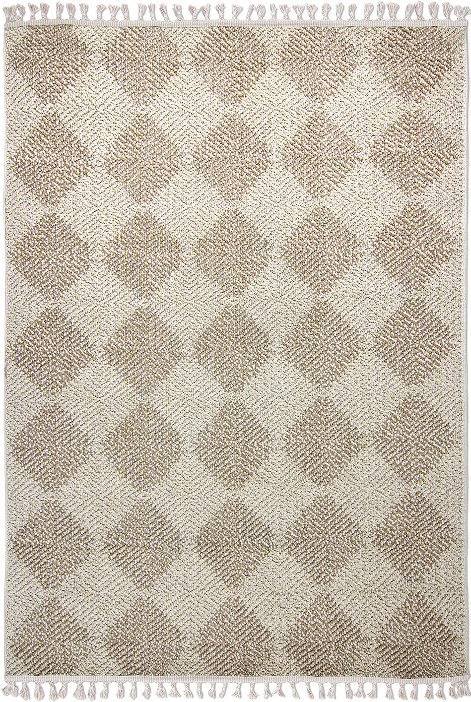 Shaggy - Indoor/Outdoor Dakota (beige)