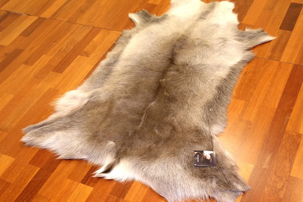 Reindeer skin - XXL # 12