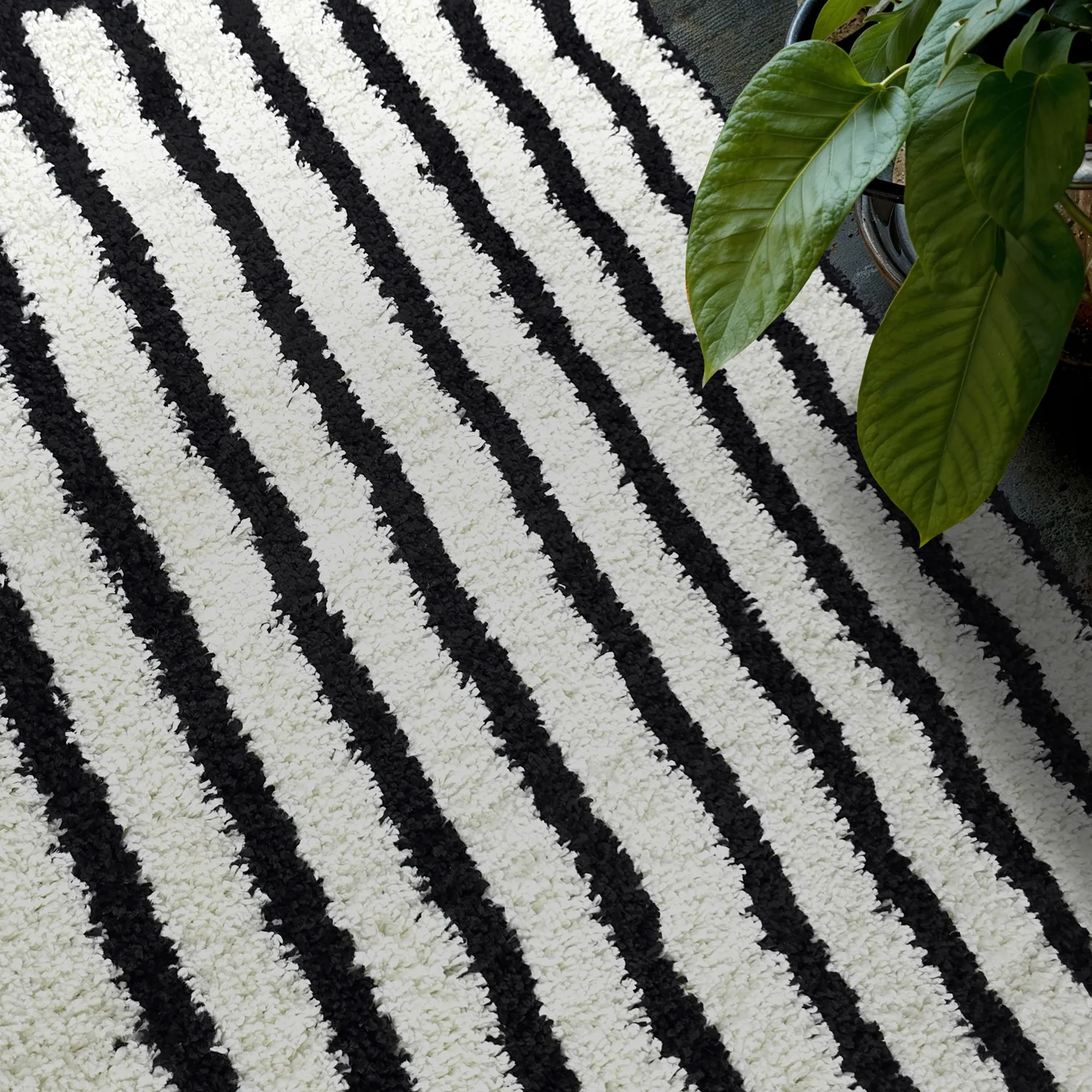 Shaggy rugs - Cluny (white/black)