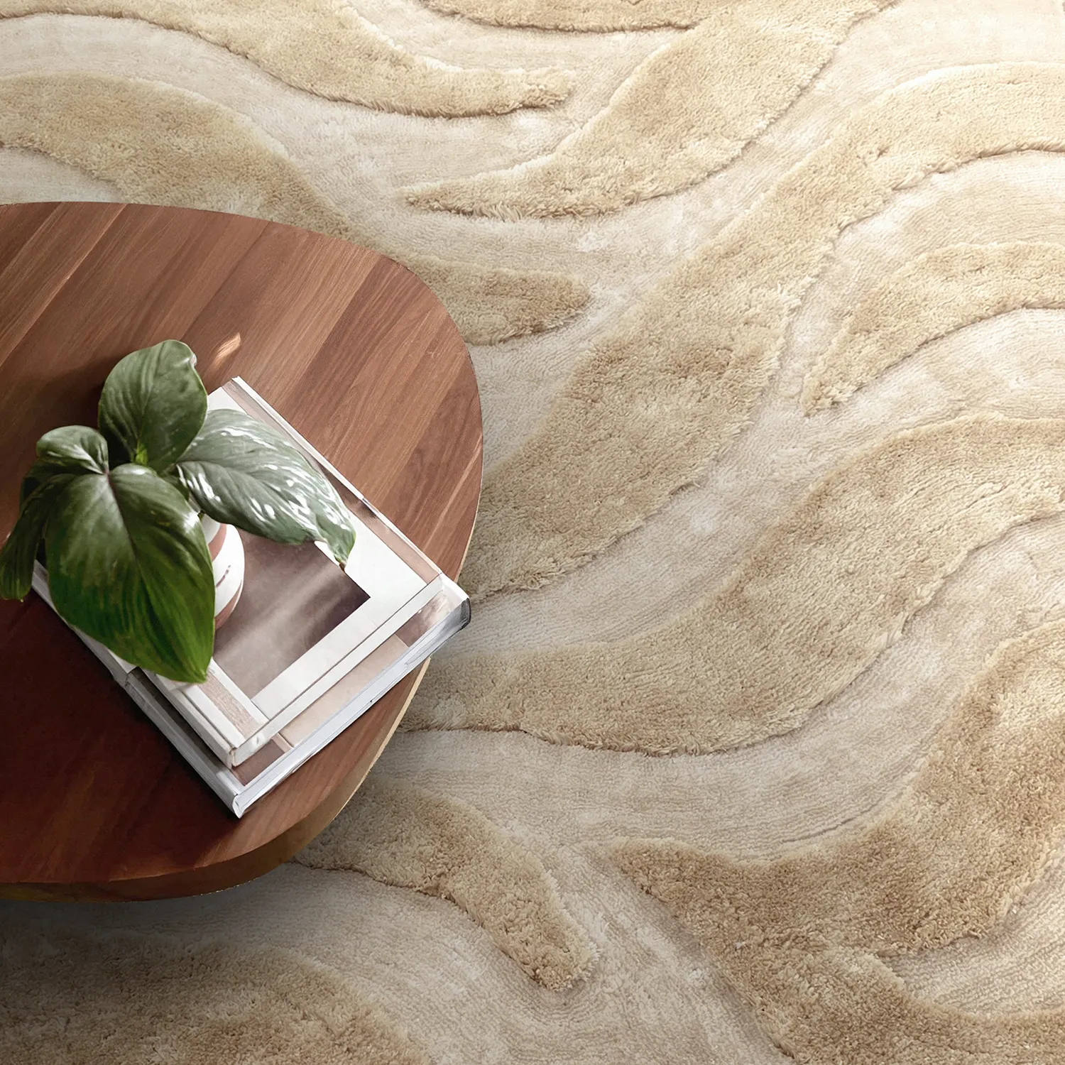 Shaggy rugs - Fergana (cream/beige)