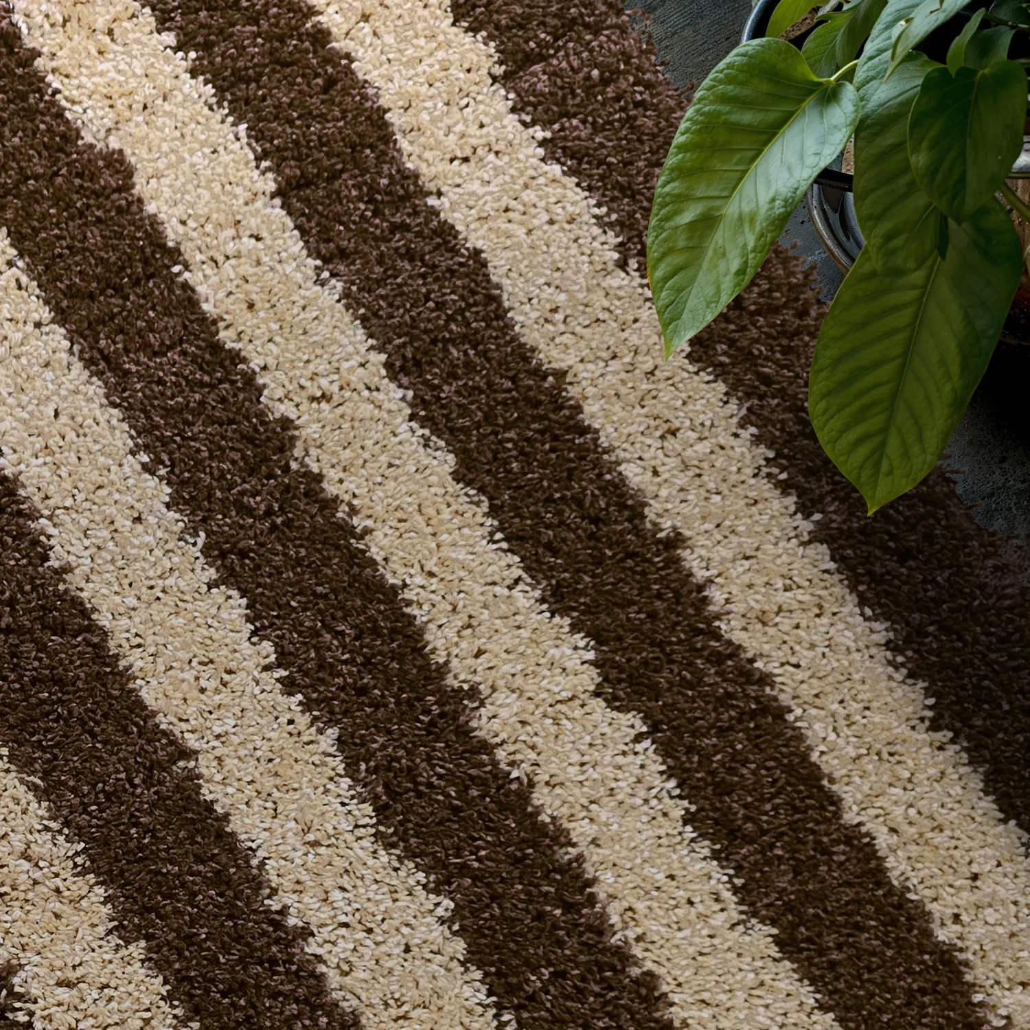Shaggy rugs - Imilchil (beige/brown)