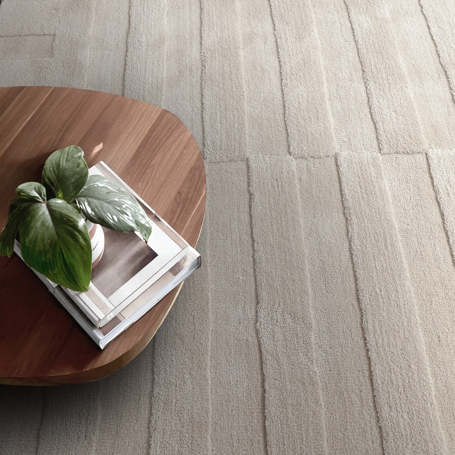 Shaggy rugs - Paxos (beige)