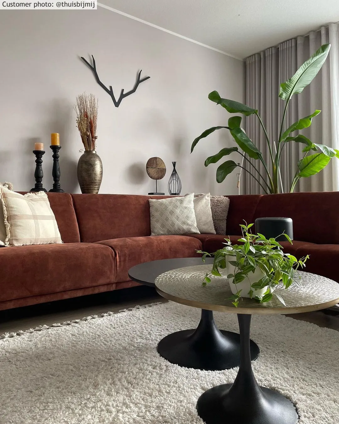 Shaggy rugs - Orellana (beige)