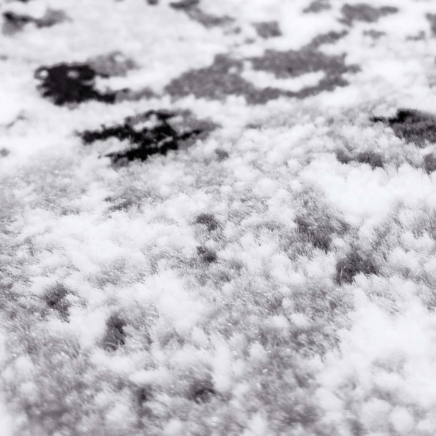 Wilton rug - Ifrane (grey)