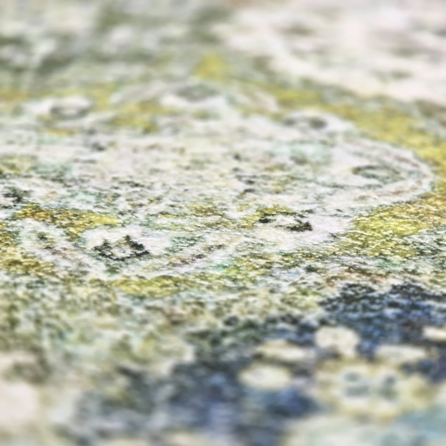 Wilton rug - Bohemia (green/multi)