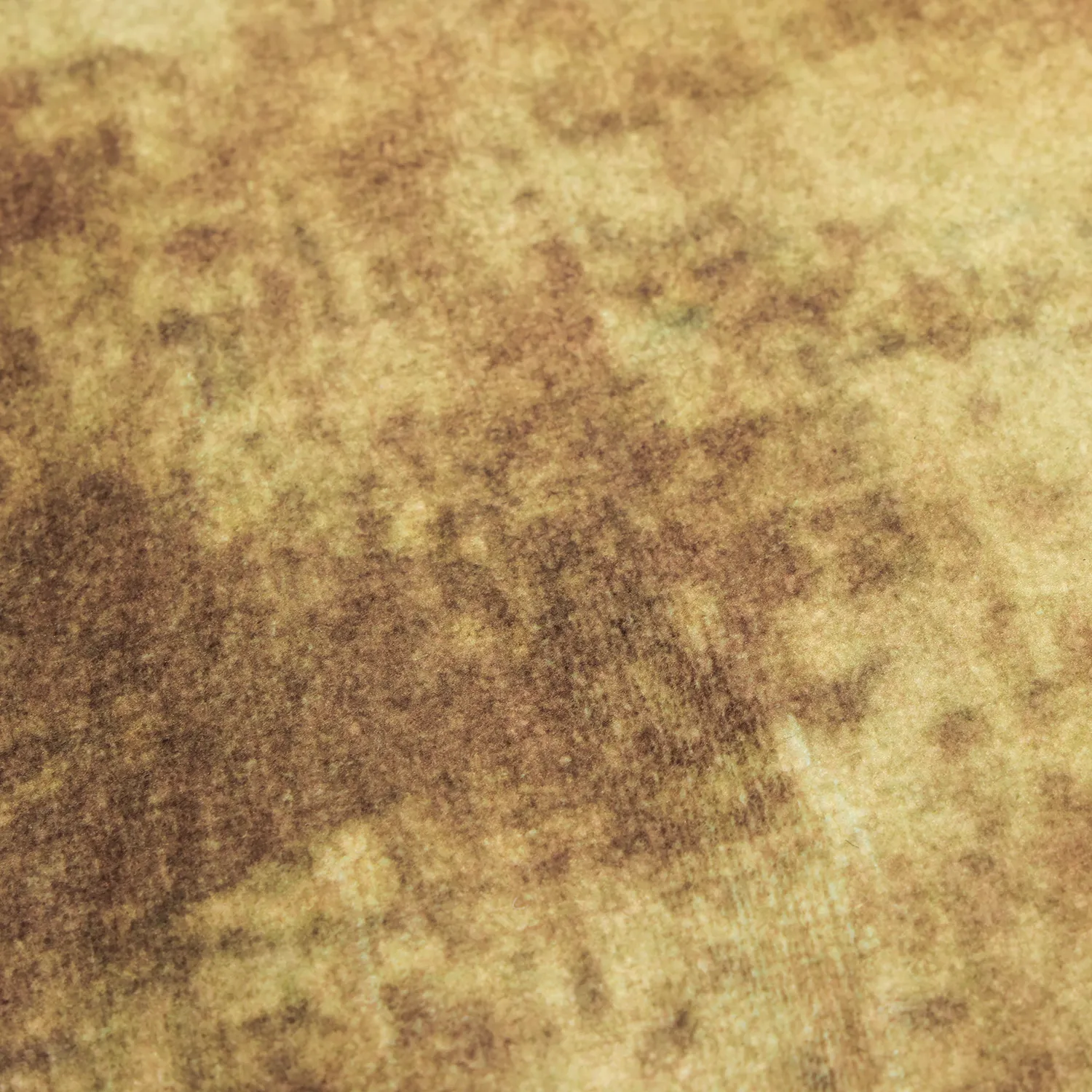 Wilton rug - Lazio (beige/pink)