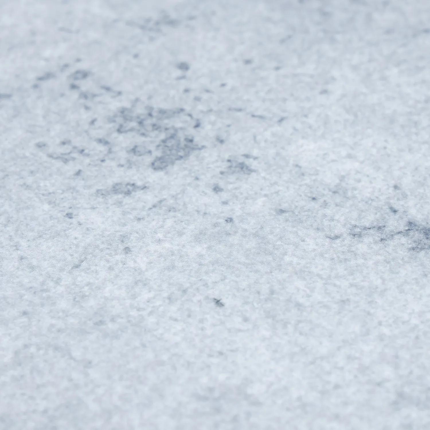 Wilton rug - Lynton (light grey)